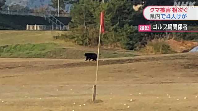 クマ被害 羽後町のゴルフ練習場で女性がけが 仙北市で男性も
