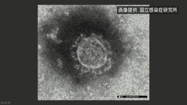 新型ウイルス 中国国内の死者700人超える