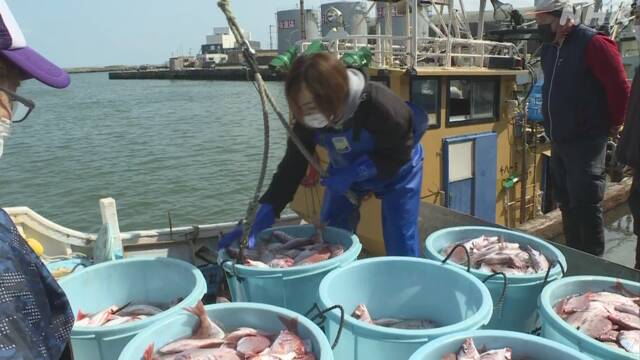 銚子漁港 魚の価格が自粛で値下がり 不安広がる