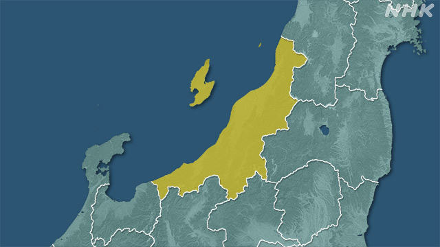 新潟市で新たに1人感染確認 県内84人に 新型コロナ