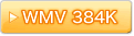 WMV 384K