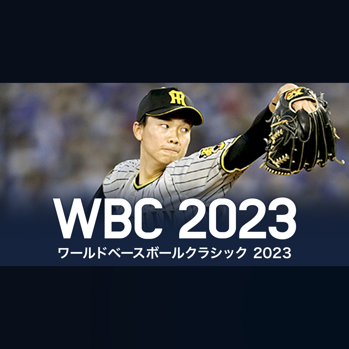 湯浅 京己選手 プロフィール | WBC 2023 ワールド・ベースボール 