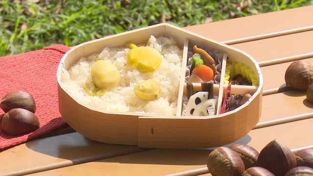 This cute chestnut-shaped bento box is filled with Kuri-okowa, chestnut rice! It’s a famous local bento that can be enjoyed only when the chestnuts are in season.