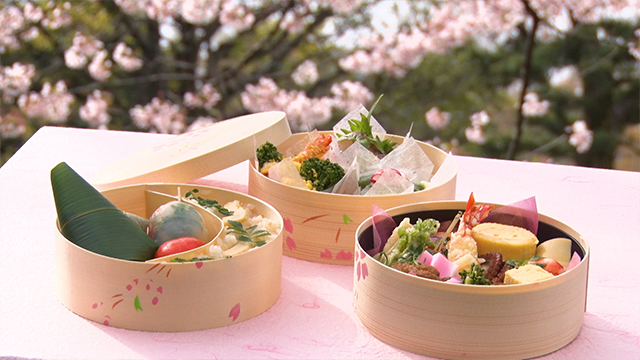The visually stunning bento also contains bamboo rice, baby octopus, and mountain vegetable tempura. It’s packed with spring flavors. A hanami bento, made to celebrate spring's arrival.