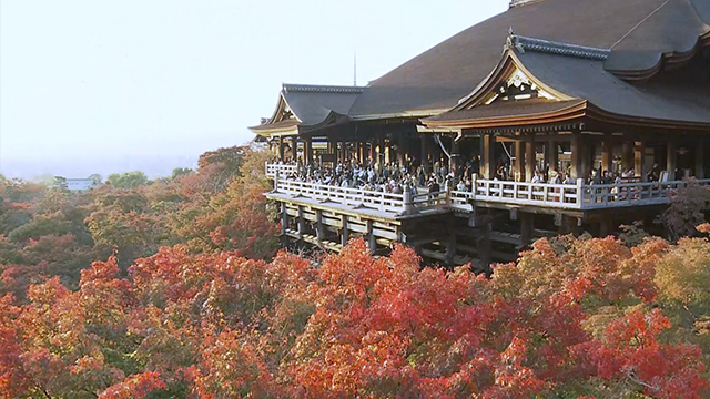 Today, from Kyoto in the fall. Many tourists visit Kyoto around this time to enjoy the spectacular autumn foliage.