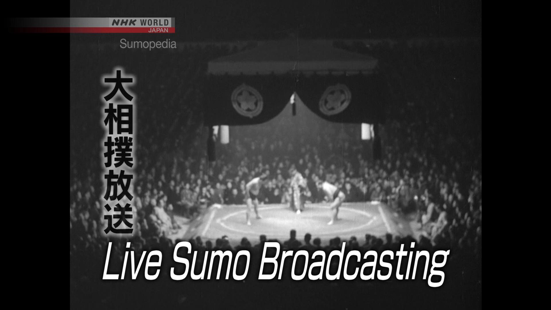 Live Sumo Broadcasting