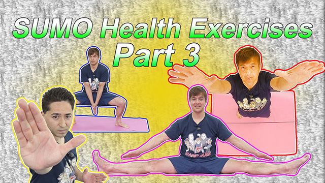 Sumo Health Exercises 3