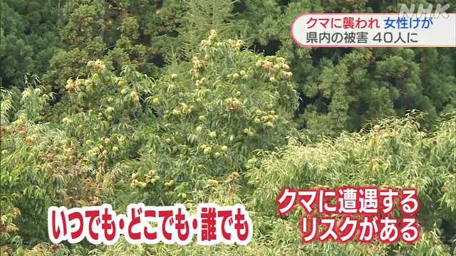 北秋田市 女性がクマに襲われけが クマによるけが４０人に