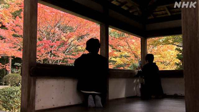 京都西明寺の紅葉
