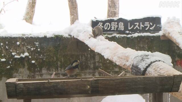 福井県大野市の県自然保護センターにオープンした野鳥レストラン