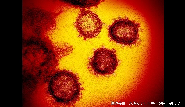 新型コロナウイルス 中国と日本以外39の国と地域 感染者2262人