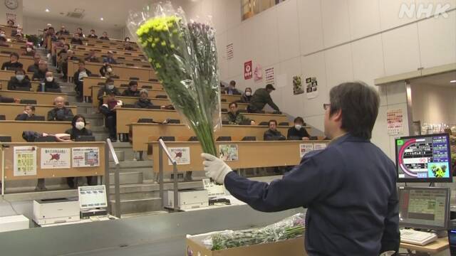 イベント中止で花の需要落ち込み価格下落 京都の市場