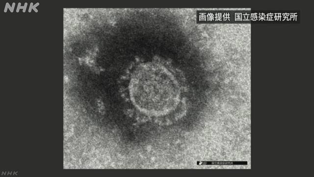 国内の感染確認１万人超える 新型コロナウイルス