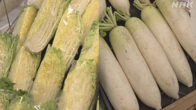 白菜 大根など値上がり 外出自粛で家庭の需要増か 新型コロナ
