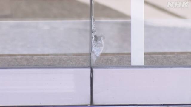 休業要請応じず営業のパチンコ店 ガラス破損で警察が捜査 石川