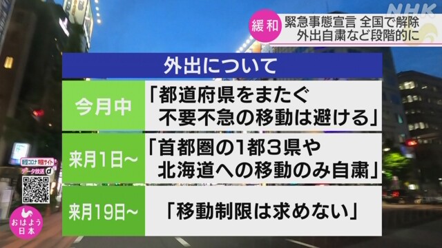 制限 解除 移動 東京 カーナビの走行中制限を解除「キャンセラー」