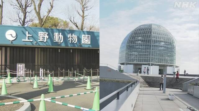 東京都 3密防ぐため上野動物園などで事前予約制を検討 コロナ | NHKニュース
