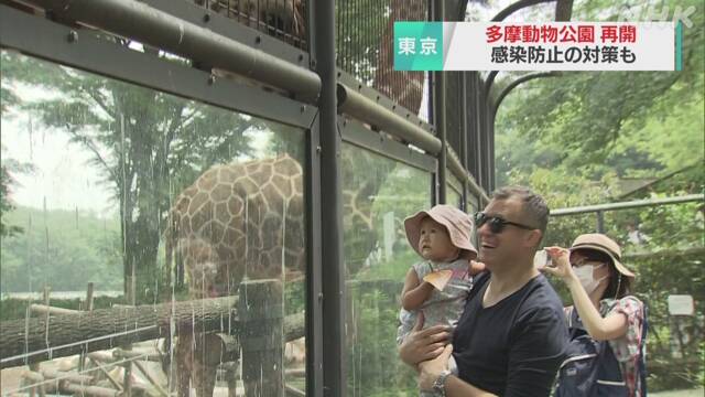 新型コロナで臨時休園の多摩動物公園が営業再開 東京 Nhkニュース