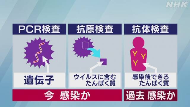新型コロナ抗体保有割合 東京0.1％ 大半が抗体保有せず 厚労省 | NHK ...