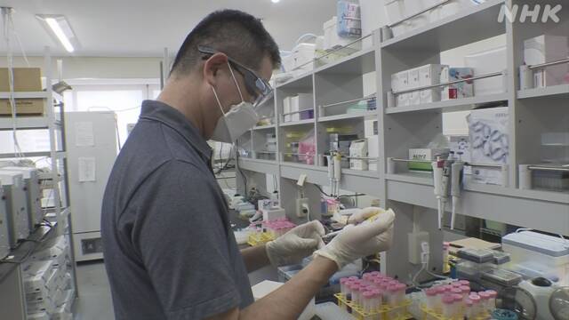 名古屋大学 新型コロナ 人工の抗体 速やかに作ることに成功