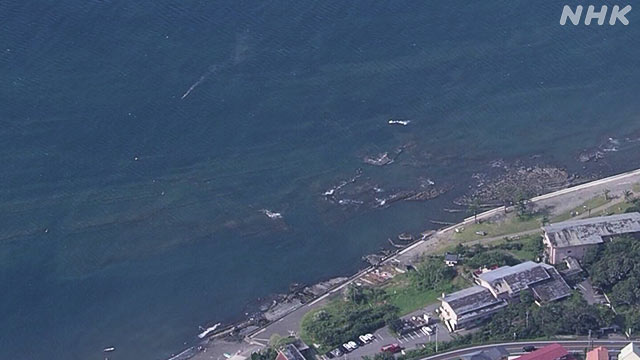 今夏 海水浴場でない海で遊泳 関東と静岡県で計12人死亡