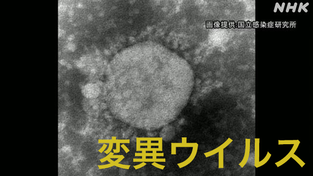 都内の女の子 変異ウイルス感染 東京都 遺伝子解析進め警戒 新型コロナウイルス Nhkニュース