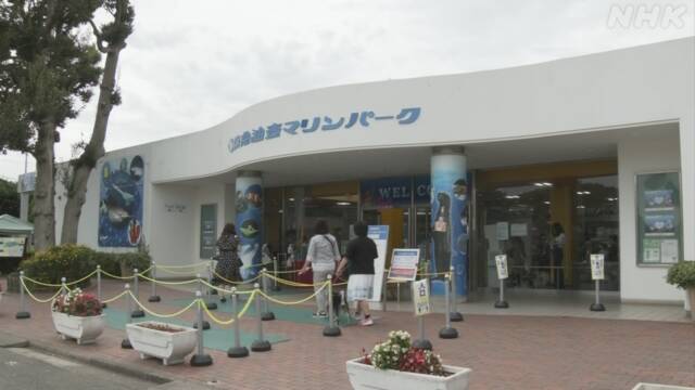三浦半島唯一の水族館 京急油壺マリンパーク 50年余の歴史に幕 - NHK NEWS WEB