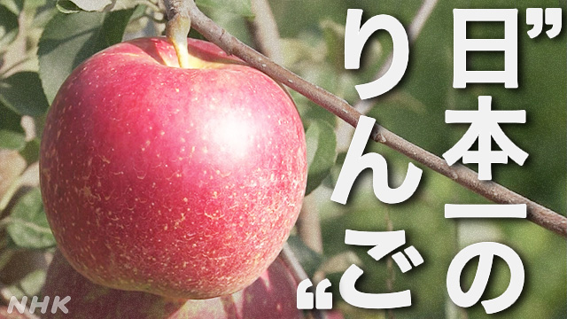 青森りんごに迫る“温暖化”の影響