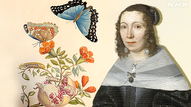 300年の“情熱のバトン”～昆虫画家メーリアンに魅せられて