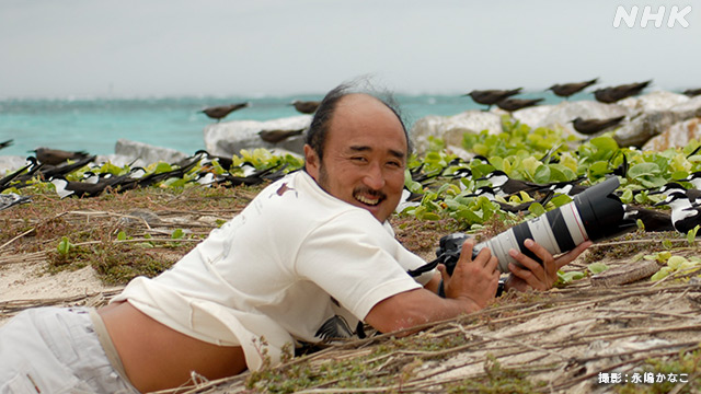 美しい写真で自然に共感してもらいたい 写真家 高砂淳二さん | NHK | WEB特集