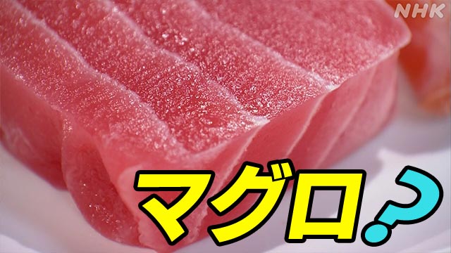 魚じゃないのにサカナ？？ いま広がる新食材 | NHK | ビジネス特集
