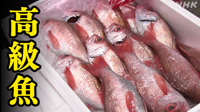 「日本人は金払えない」アジアの胃袋に向かう高級魚 | NHK | ビジネス特集