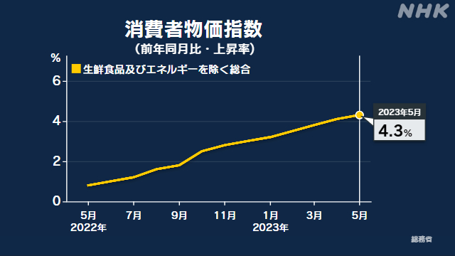 消費者物価指数上昇 今後はどうなる？高止まりが続く懸念も | NHK