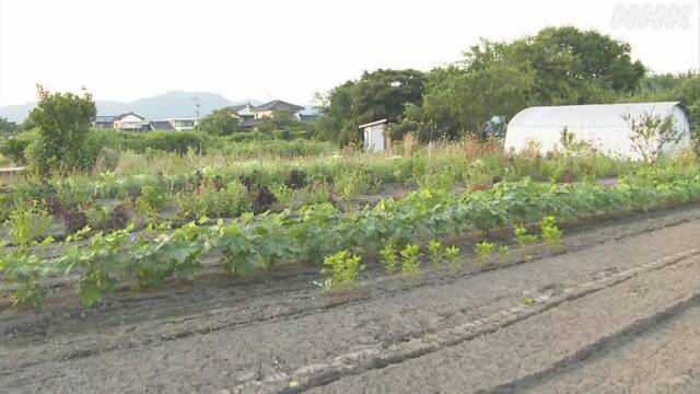 畑で91歳の女性死亡 熱中症か 鳥取 境港 | NHK