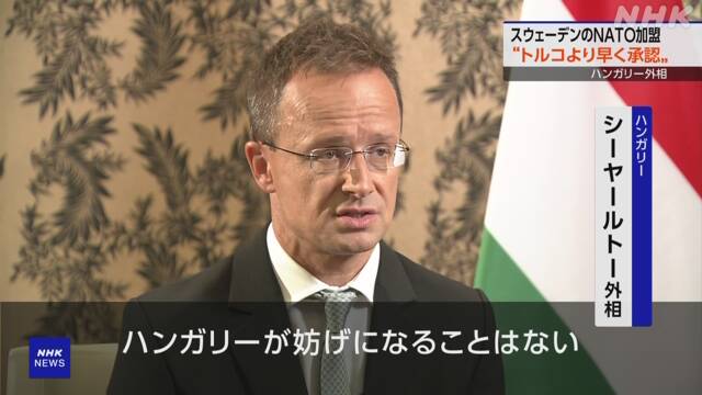 ハンガリー外相 “スウェーデンのNATO加盟 妨げず” | NHK