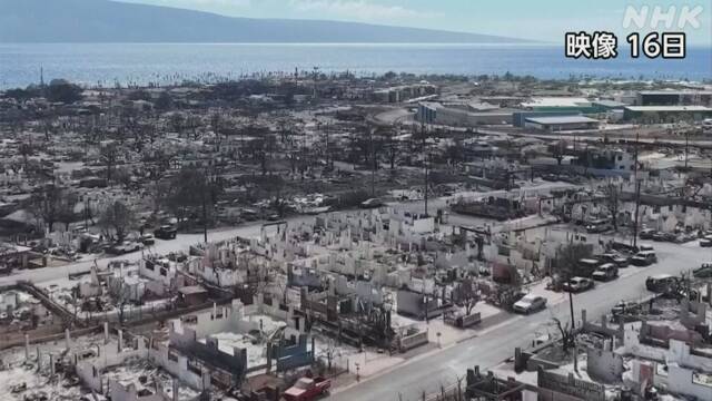 Hawaii wildfire Maui County sues power companies, etc. “No measures taken” | NHK