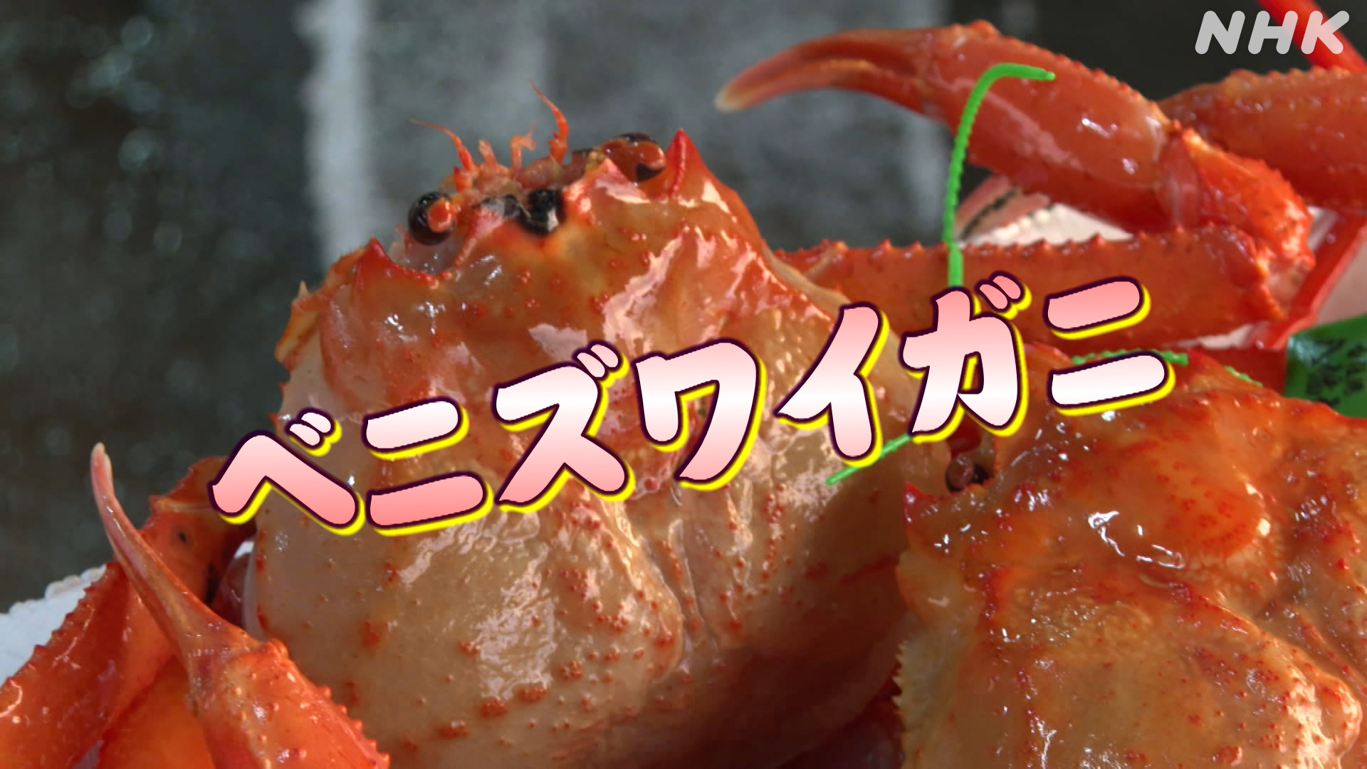 Hyogo Kami-cho Red snow crab’s first auction Up to 500,000 yen per animal | NHK