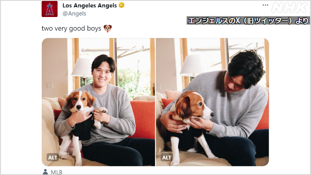 【数量限定】MLB(エムエルビー) LOS ANGELES ANGELS 犬