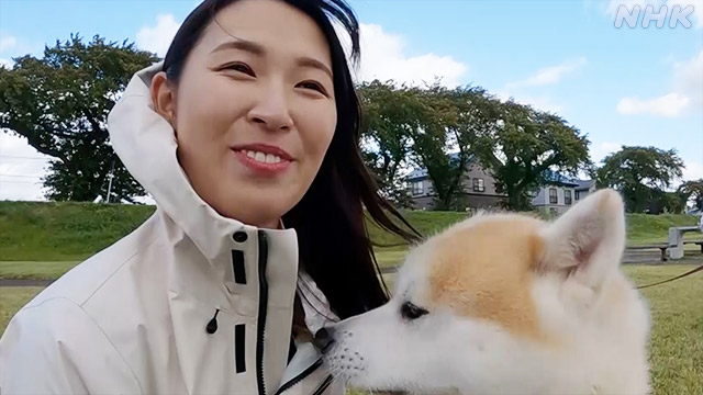 秋田犬に魅せられて わたしの人生を変えた忠犬ハチ公 | NHK
