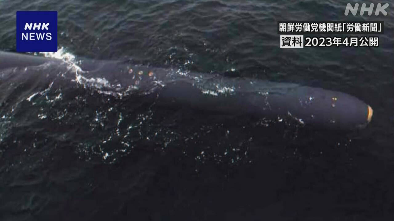 北朝鮮「水中核兵器システムの実験 日本海で実施」 | NHK - nhk.or.jp
