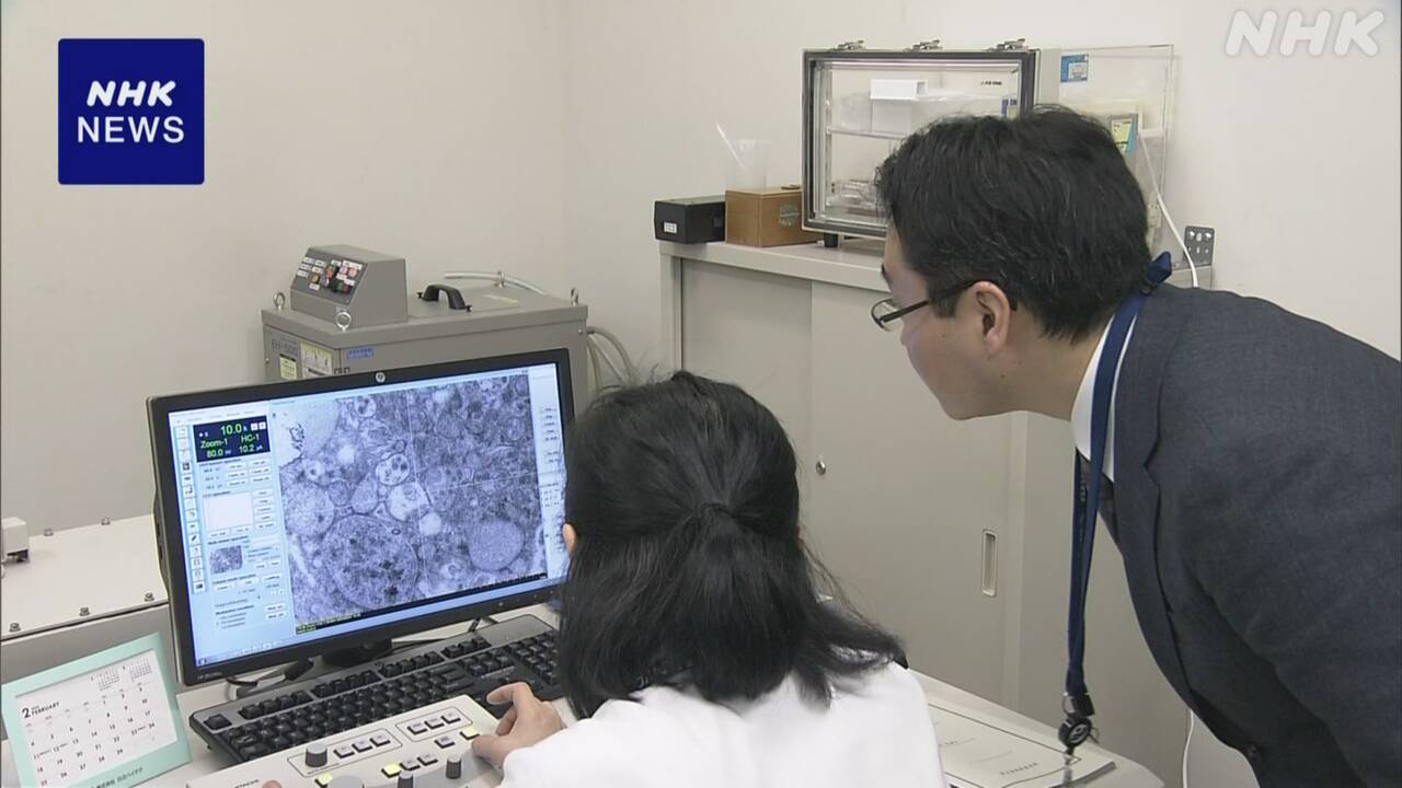 Support for infected patients with immunodeficiency: New draft guidelines to be created for new coronavirus treatment | NHK