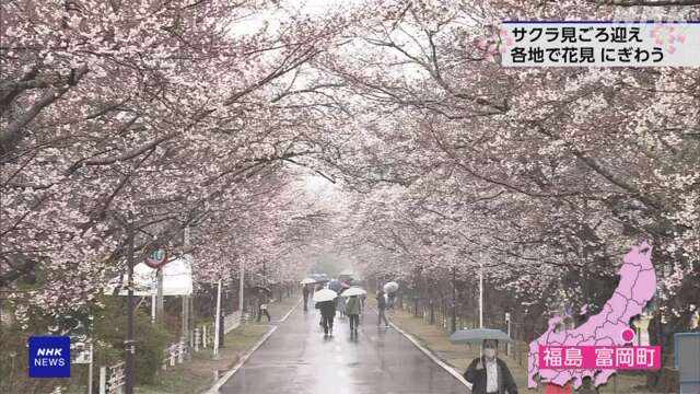 福島 富岡町 夜の森地区で桜まつり 原発事故前と同じ会場で