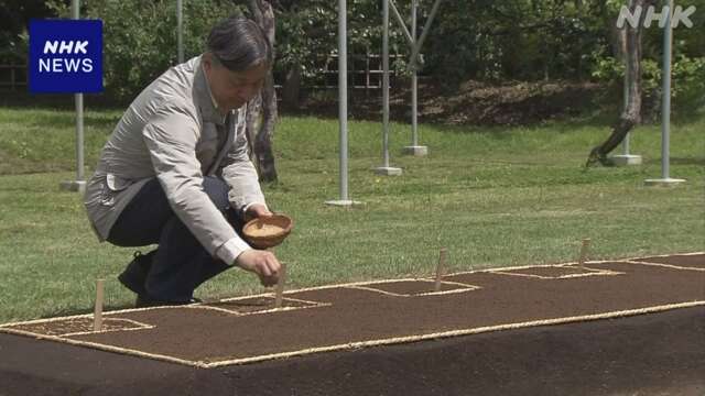 天皇陛下 皇居内にある苗代で稲の種もみをまかれる