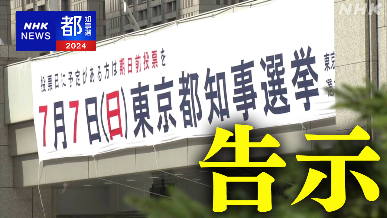 東京都知事選挙 告示 立候補者は過去最多の56人【一覧掲載】 | NHK - nhk.or.jp
