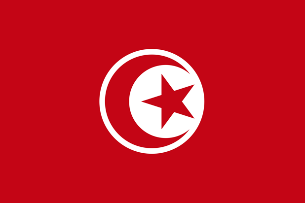 チュニジア代表