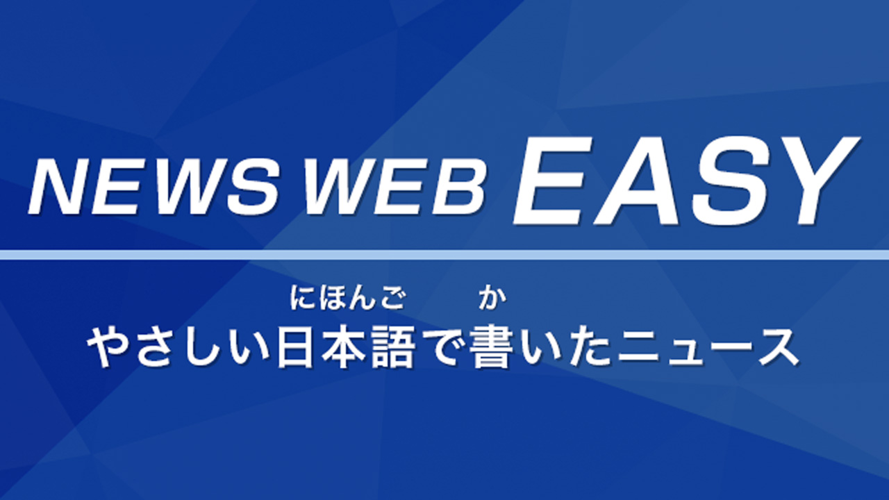 NEWS WEB EASY