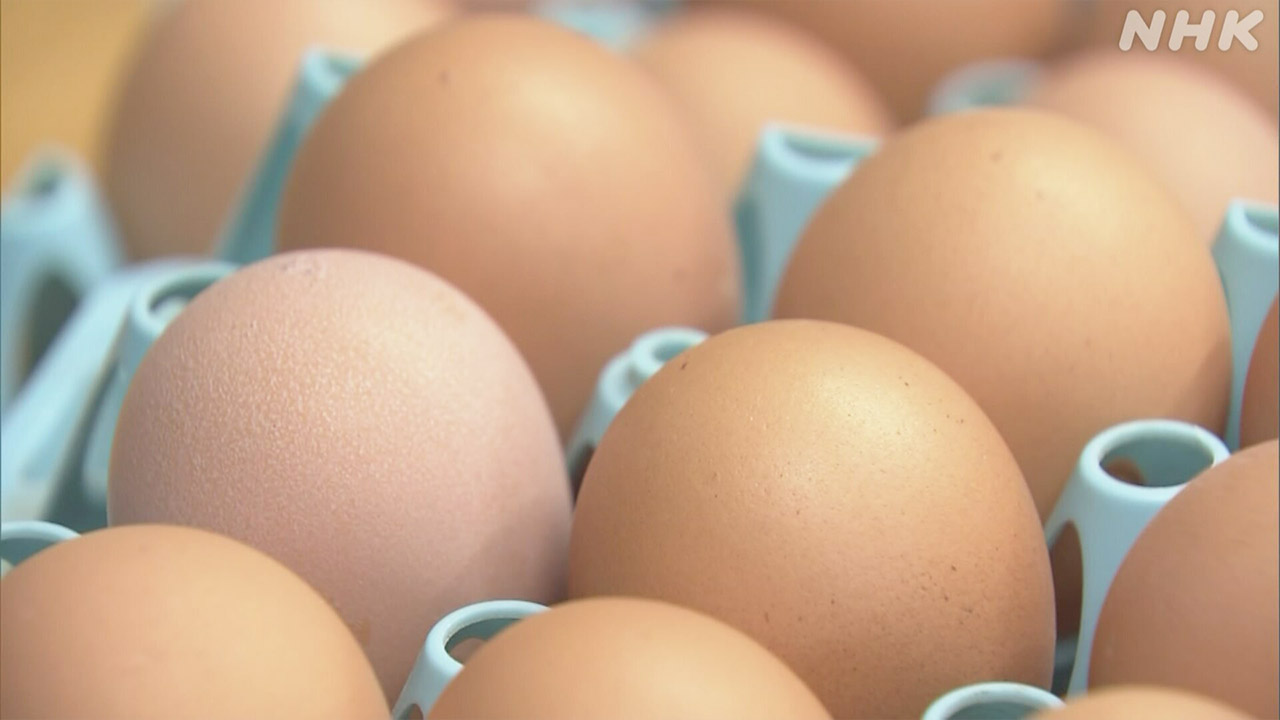 卵の値上げなぜ？いつまで？ 飼料価格高騰や鳥インフルエンザも影響