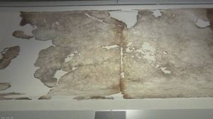 キトラ古墳の壁画 国宝に指定へ 発見から36年