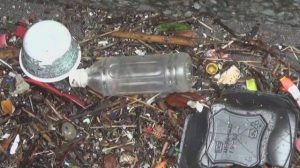 プラスチックごみの海洋汚染 東大などが調査分析プロジェクト