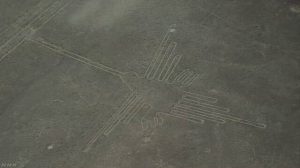 「ナスカの地上絵」制作の謎迫れるか 鳥の絵を研究